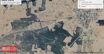 Arevtürk'den Ortaköy'de Satılık 63 Dönüm Palamutlu Tarla