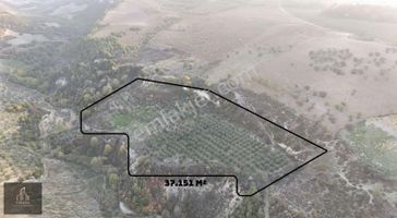 Altınözü Akdarı 37 Dönüm Parsel