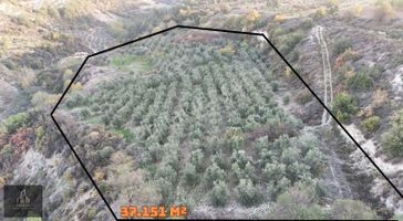 Altınözü Akdarı 37 Dönüm Parsel