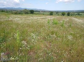 Kırklareli Merkez Üsküp Cevat Paşa Mah Satılık Hisse 7300 Tl