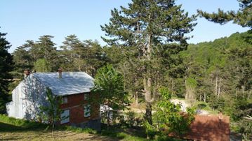 Ulucan'dan İnegöl Boğazova'da Satılık Fırsa Arsa