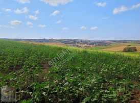 İst Silivri Bekirli Mah De Satilik Tarlatek Tapu Müstakil13825m2