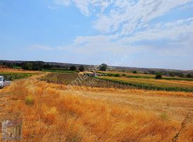 Tekirdağ Malkara Balli Mah Satilik Tek Tapu Tarladan Arsa1277m2