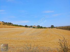 Tekirdağ Malkara Balli Mah Satilik Tek Tapu Tarladan Arsa1277m2