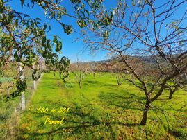 Mef Gyd'den İznik Alakaya'da Villa İmarlı Satılık Fırsat Arsalar
