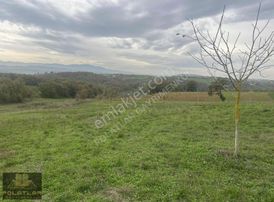 Karadavutlu'da Yatırımlık Fırsat Tarla!!!