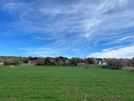 İzmir Foça Satılık 3 Dönüm Tarla