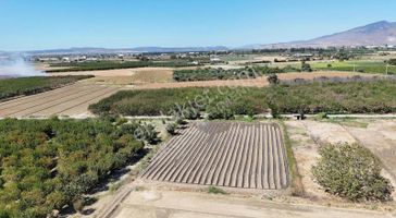 Menemen Merkezde Satılık 3081 M2 Tapulu Komşuları Olan Bahçe