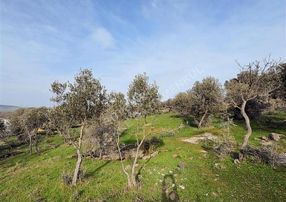 Hacıömerli Köyünde 1040m2 Tapulu Harika Manzaralı Bahçe