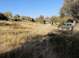 Kozbeyli Çeşmesinin Arkasında Tapulu İmara Açılacak Bahçe