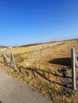 Foça Gerenköy Ün En Değerli Yeri