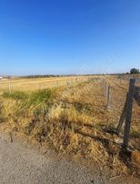 Foça Gerenköy Ün En Değerli Yeri