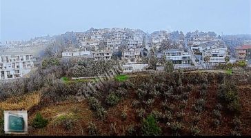 Bursa Mudanya Bademlide Toplam 16.500 M2 Arazi