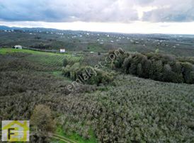 Kocaali Kadıköy'de Deniz Manzaralı İmara Sınır Satılık Fındıklık