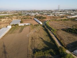 Antalya Serik Yukarıkocayatak Ta Müstakil Tapu 2 Dönüm Satılık