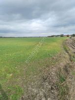 Saray Edirköyde Köy Dibinde 3 Adet 700 M2 Hisseli Parsel