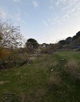 Balıkesir Burhaniye Kuyumcu Köyü Satılık Hobi Bahçesi