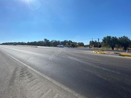 Gömec Keremköy Girişinde Satılık 40,000 Metre Kare Zeytinlik