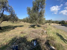 Balıkesir Ayvalık Sarımsaklı Da Satılık 4,600 Metre Kare Arsa