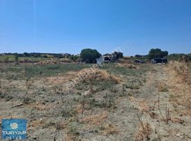 Çanakkale Eceabat Seddülbahir'de Satılık Tarla