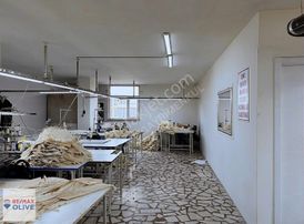 30 Bin Tl Kiracılı 270 M2 Bodrum Kat Dükkan. Son Fiyat