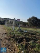 Silivri Büyükkılıçlı Acil Satılık Tarla