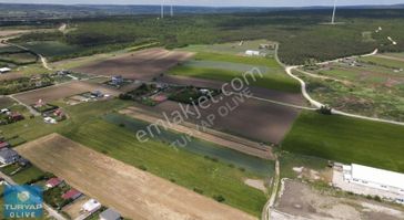 Çatalca Gökçeali'de 3.213 M2 Müstakil Tapulu Yatırımlık Arazi