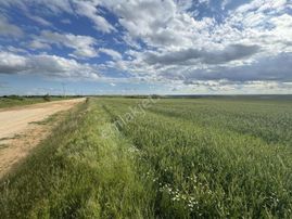 Kırklareli Merkez Karacaibrahim Mah. 5492m2 Yatırımlık Tarla