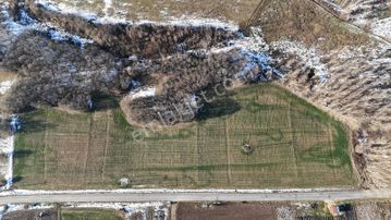 Bulvar Emlak'tan 285 Metre Asfalt Cephe Satılık Tarla