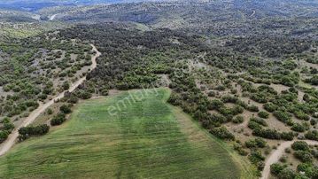 Kırklareli Merkez Demircihalil Köyü'nde Satılık Tarla