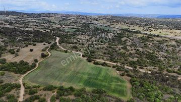Kırklareli Merkez Demircihalil Köyü'nde Satılık Tarla