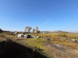 Adapazarı Dağdibin'de 1929m2 Kaçırılmayacak Fırsat