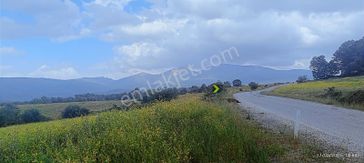 Balıkesir Susurluk Gürece'de Yatırımlık Fırsat Arazi