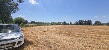 Bursa Nilüfer Alaaddinbey Kiralık 20 Dönüm Tarla Yolu Vardır