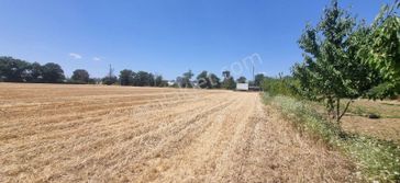 Bursa Nilüfer Alaaddinbey Kiralık 20 Dönüm Tarla Yolu Vardır