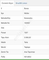 Bursa Nilüfer Karacaoba Da Asfalt A 200 Metre Tarla Satılıktır