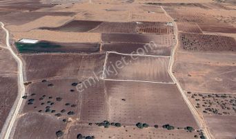 K.hamurkesen Satılık Tek Tapu Bağevi Yapımına Uygun Tarla