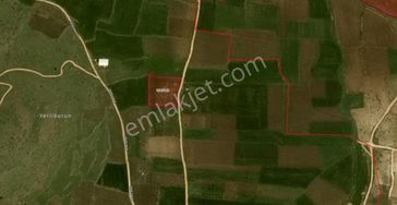 K.hamurkesen Satılık Tek Tapu Bağevi Yapımına Uygun Tarla