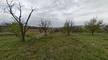 Bursa Keles Belenören Satılık Meyve Bahçesi