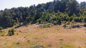 Dalaman Taşbaşında Kaçırılmayacak 4.370 M² Yatırımlık Tarla!