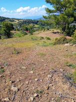 Dalaman Taşbaşında Kaçırılmayacak 4.370 M² Yatırımlık Tarla!