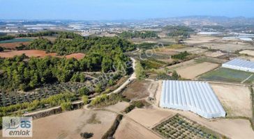 Hatıplar Kızılağaçta Yolu,elektrik,suyun Yanında Satılık Tarla