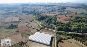 Hatıplar Kızılağaçta Yolu,elektrik,suyun Yanında Satılık Tarla