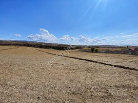 *peçenek Te Yol Kenarı Bahçelerin İçinde 1.300 Metre H.tapulu