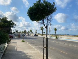 Karasu Çiğdem Emlaktan...denize İlk Parsel & Eşyalı Kiralık 2+1