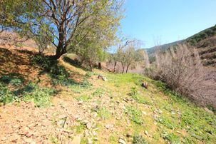 🟠 Aktif'ten Kırtık'ta Harika Konumda 188m² Satılık Meyve Bahçesi 🟡🟠