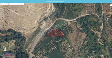 Ereğli Büyükdedeköyünde Satılık Evi Elektriği Suyu Olan Kiraz Bahçesi