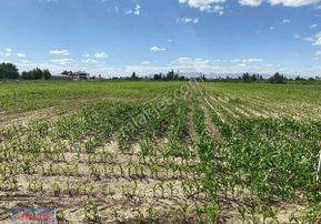 Konya Yoluna 500 Metre Mesafede 15 Dönüm Tek Tapulu Sulu Tarlamız Satılıktır.