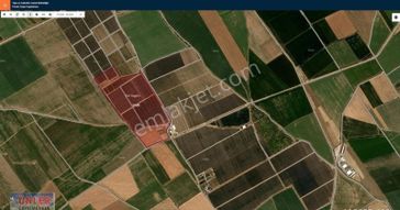 Bulgurlukta 253 Dönüm Tam Teşkilatlı Elma Bahçemiz Satılıktır