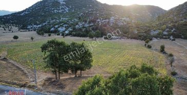 Akseki Dikmen 1667 Metrekare Tek Tapulu Villaya Bungalov Ve Bahçeye Uygun Cazip Fiyata